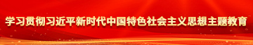 看操屄视频学习贯彻习近平新时代中国特色社会主义思想主题教育